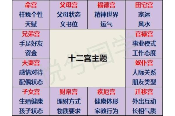 紫微斗数命盘解析：十二宫位
