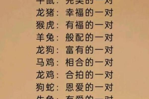 兔属相与什么属相最配 兔子跟什么生肖最配对和最好