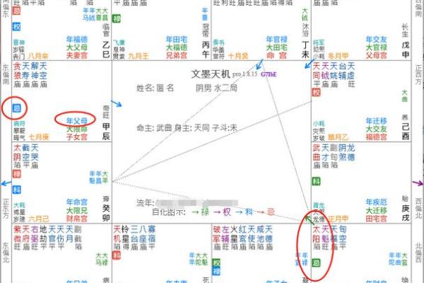 紫薇斗数四墓宫
