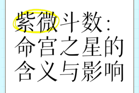 紫薇斗数地劫命宫