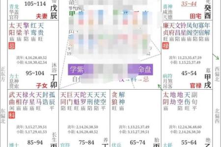 紫微斗数福德宫解析,福德宫看人生运势