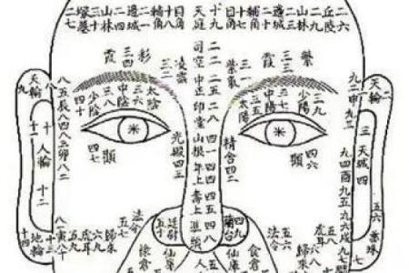 周易算命看面相
