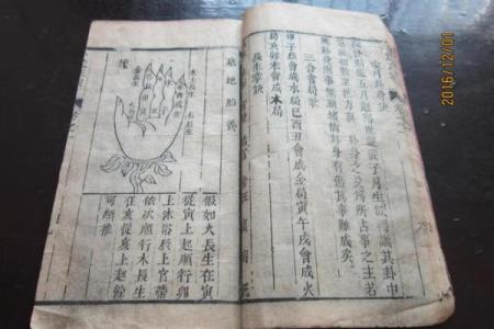 关于算命的书