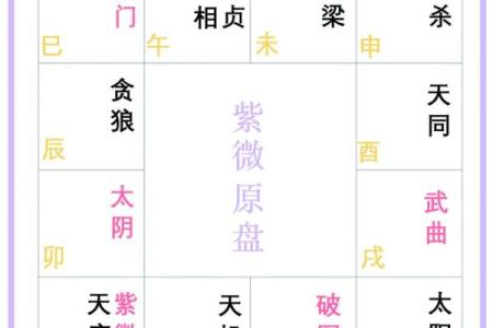 天机紫薇斗数长相