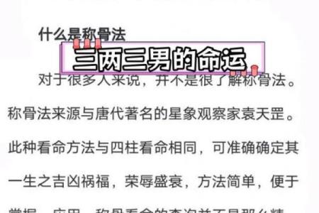 解析称骨算命3两2命