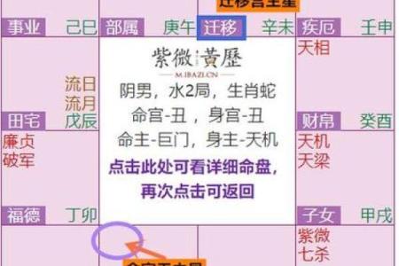 紫微斗数之事业宫与诸星，贪狼星在事业宫是什么意思？