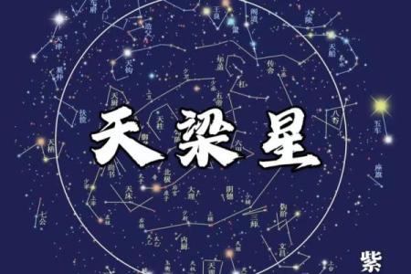 紫薇斗数卡牌