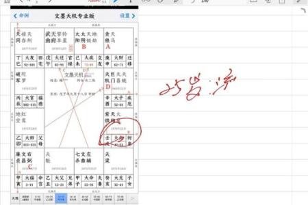 紫薇斗数解盘許