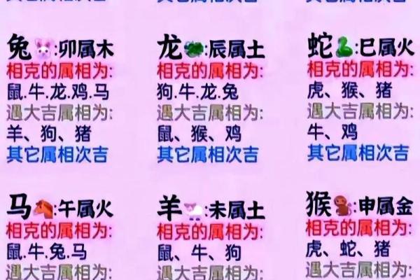 狗的属相配对婚配表