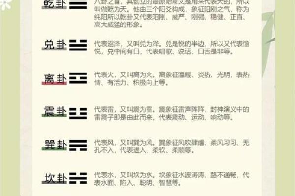 紫微斗数之八卦万物类象：离卦详解