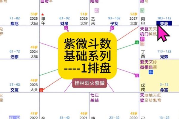 紫薇斗数重逢