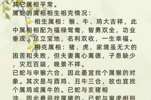 1997年属什么生肖配对