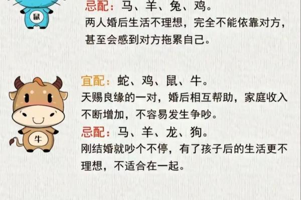 91年属什么生肖多大 婚配表 配对 什么命