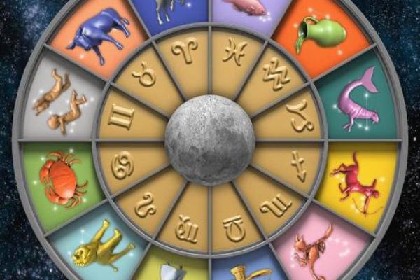 十二星座哪个最会养鱼