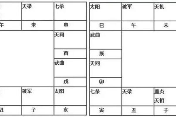 紫薇斗数反格