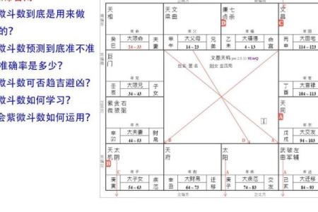电脑紫薇斗数软件