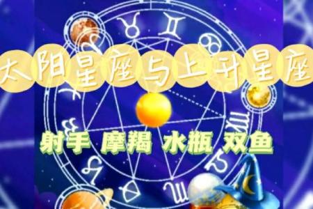 萨比恩看太阳星座吗