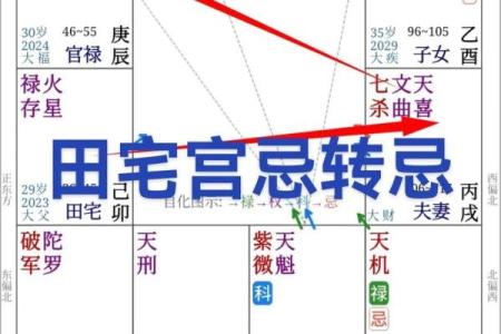 紫微斗数田宅天才 紫微斗数十二宫之田宅宫？