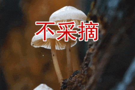 【神准测试】赶走霉运！最近你需要小心提防的是什么？