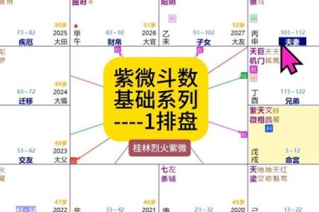 紫薇斗数重逢