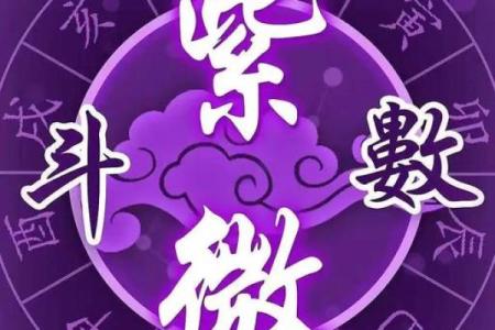 紫薇斗数疾厄戊申
