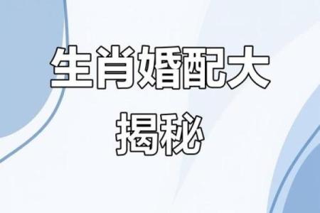 女鼠男虎生肖配对姻缘 属鼠女与属虎男婚姻配对详解