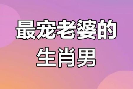 属猪男和属牛女的婚姻怎么样 属猪男和属牛男配对指数