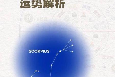金牛和天蝎座配对指数高不高 在一起好么