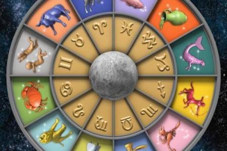 十二星座哪个最会养鱼