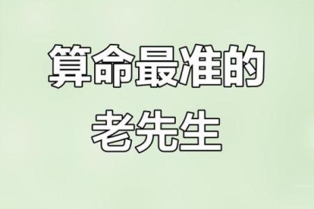 精准算命大师