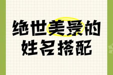 广告姓名配对软件下载 姓名广告语？