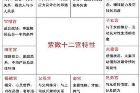 十二宫紫薇斗数