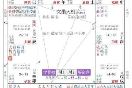 紫薇斗数反格