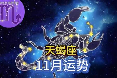 对天蝎座最好的星座是哪个