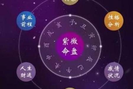 紫微斗数杀破狼 紫微斗数？