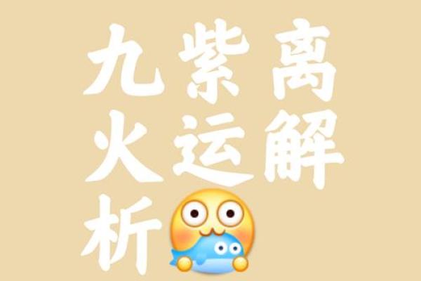 八字紫运