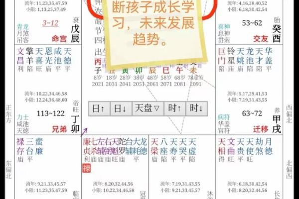 紫薇斗数看生孩子契机