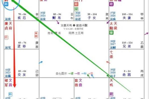 紫薇斗数看生孩子契机