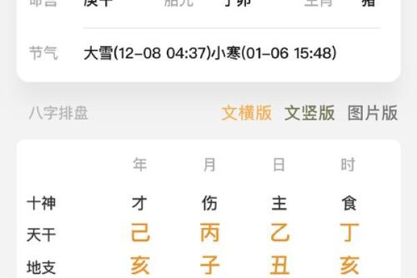 白龙八字