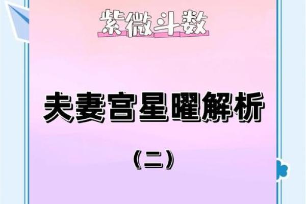 紫薇斗数夫妻宫带天府