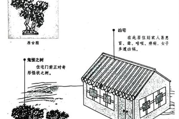 什么样的风水容易出不孝子女
