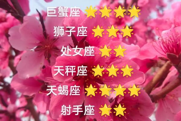 白羊座长大后可以娶哪个星座女