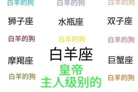 白羊男和什么星座的女的最合适恋爱