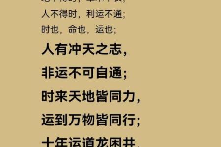 少年身强八字旺，命运远大前程显！