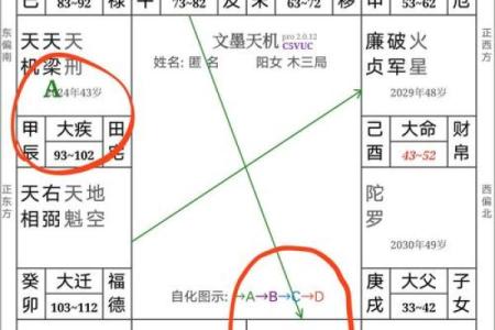 仲易紫薇斗数怎么样