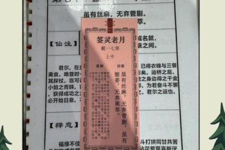 真武灵签51签解签详细