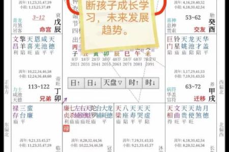 紫薇斗数看生孩子契机