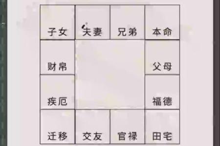 紫薇斗数夫妻宫带天府
