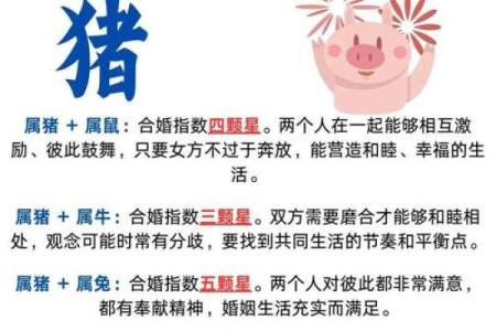 属猪的2024年结婚什么时候好 结婚吉日查询