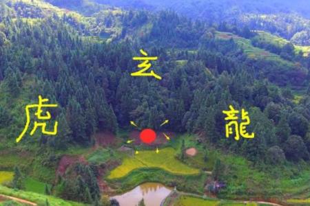 龙脉风水_各有什么特征
